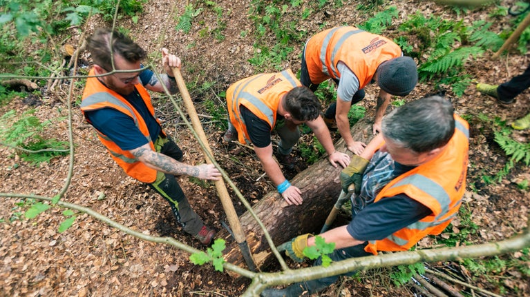 Top down shot of four volunteers rolling a log at Hardcastle Crags, Yorkshire